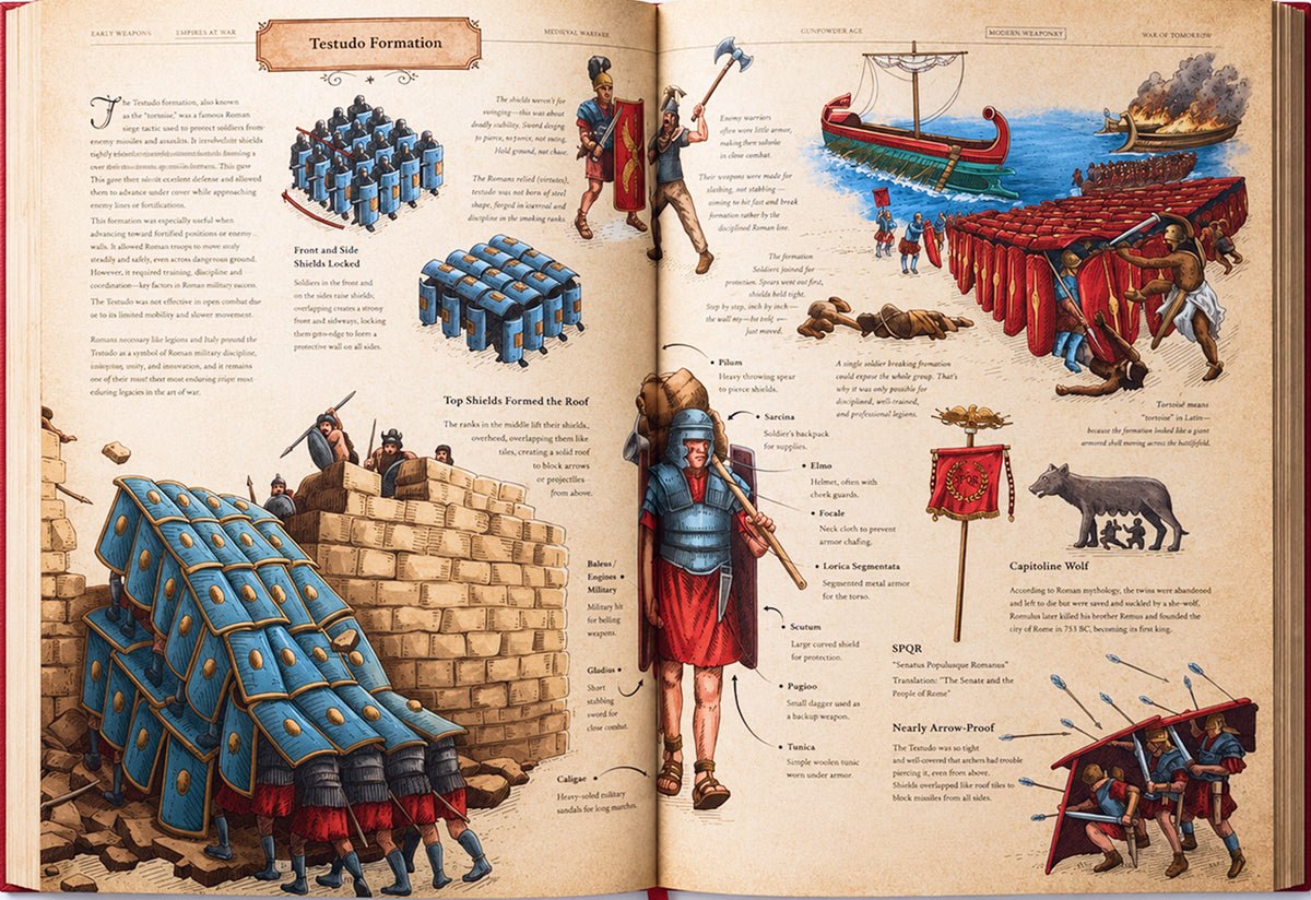 Testudo Formation