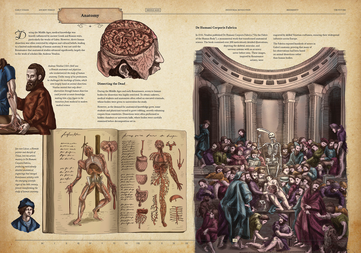 HUMAN ANATOMY