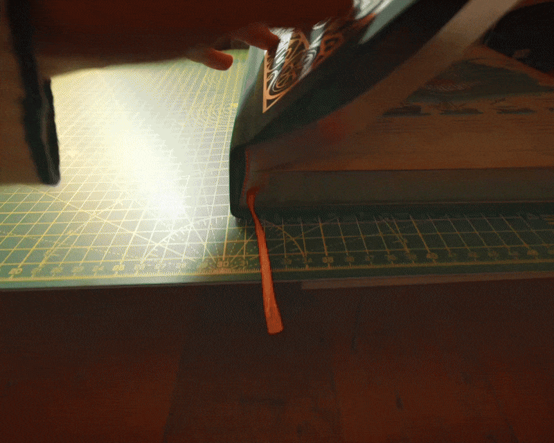 book presentation video